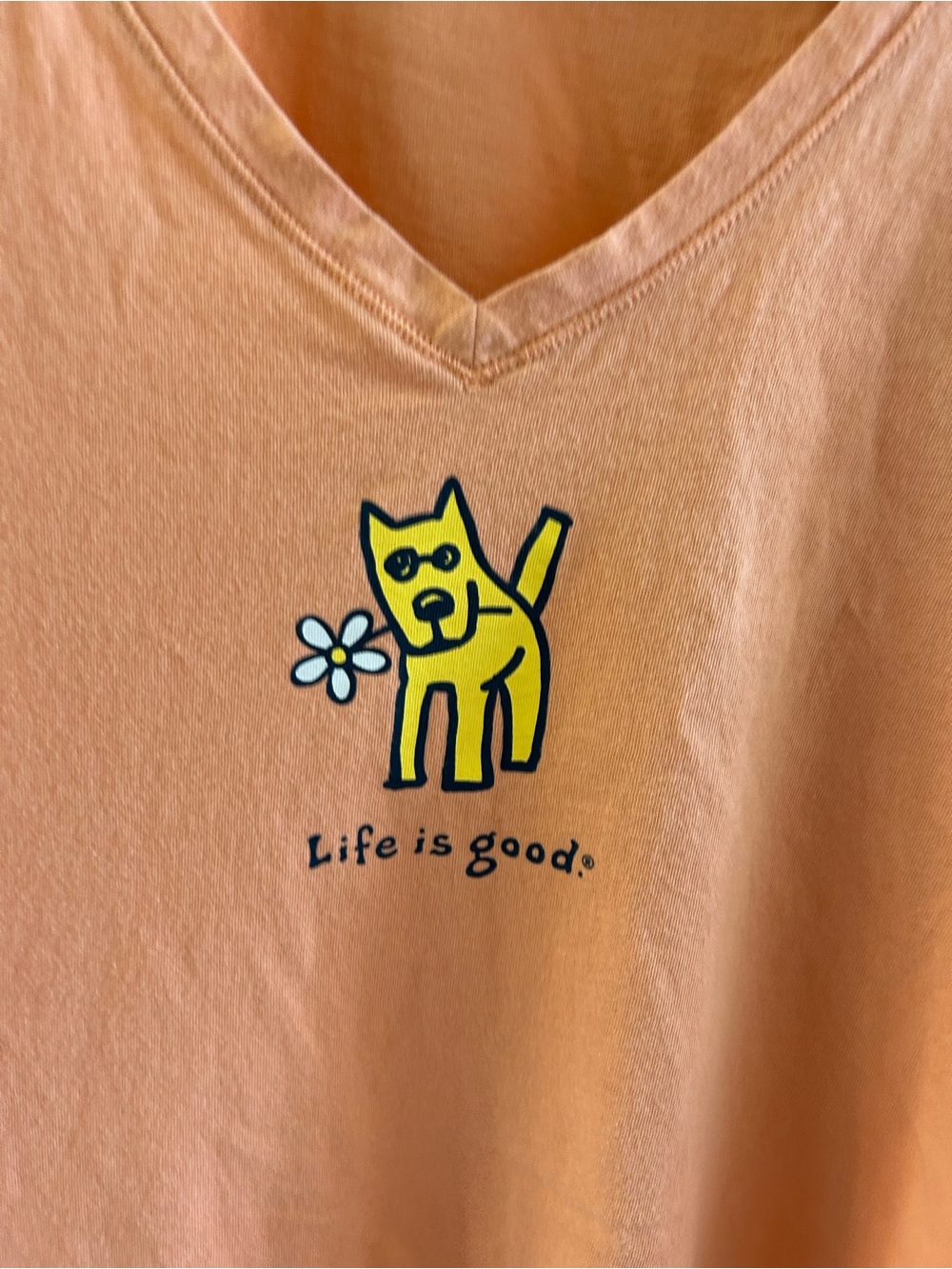 Life Is Good Peach Short Sleeve V-Neck Tee with Yellow Cat Graphic - Picture 3 of 7